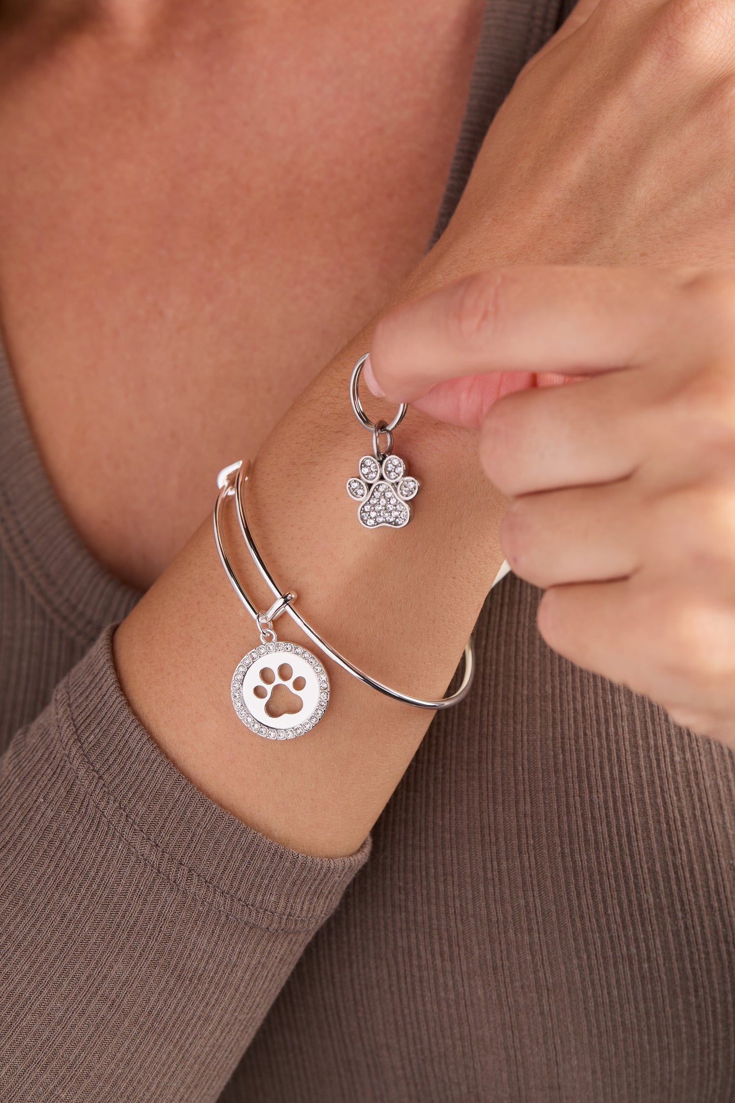 Paw Print Bangle & Pet Collar Charm Set of 2 ALEX AND ANI