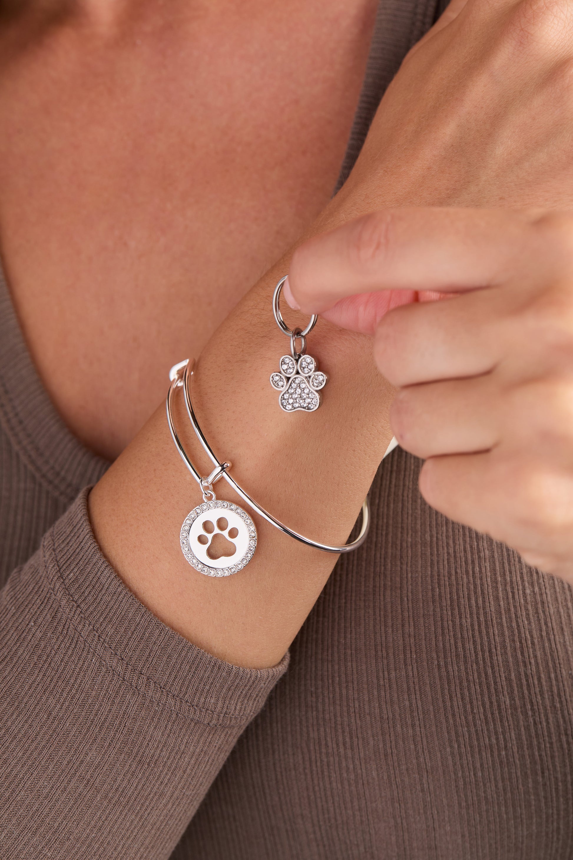 Paw Print Bangle & Pet Collar Charm Set of 2 ALEX AND ANI