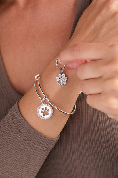 Paw Print Bangle & Pet Collar Charm Set of 2 ALEX AND ANI