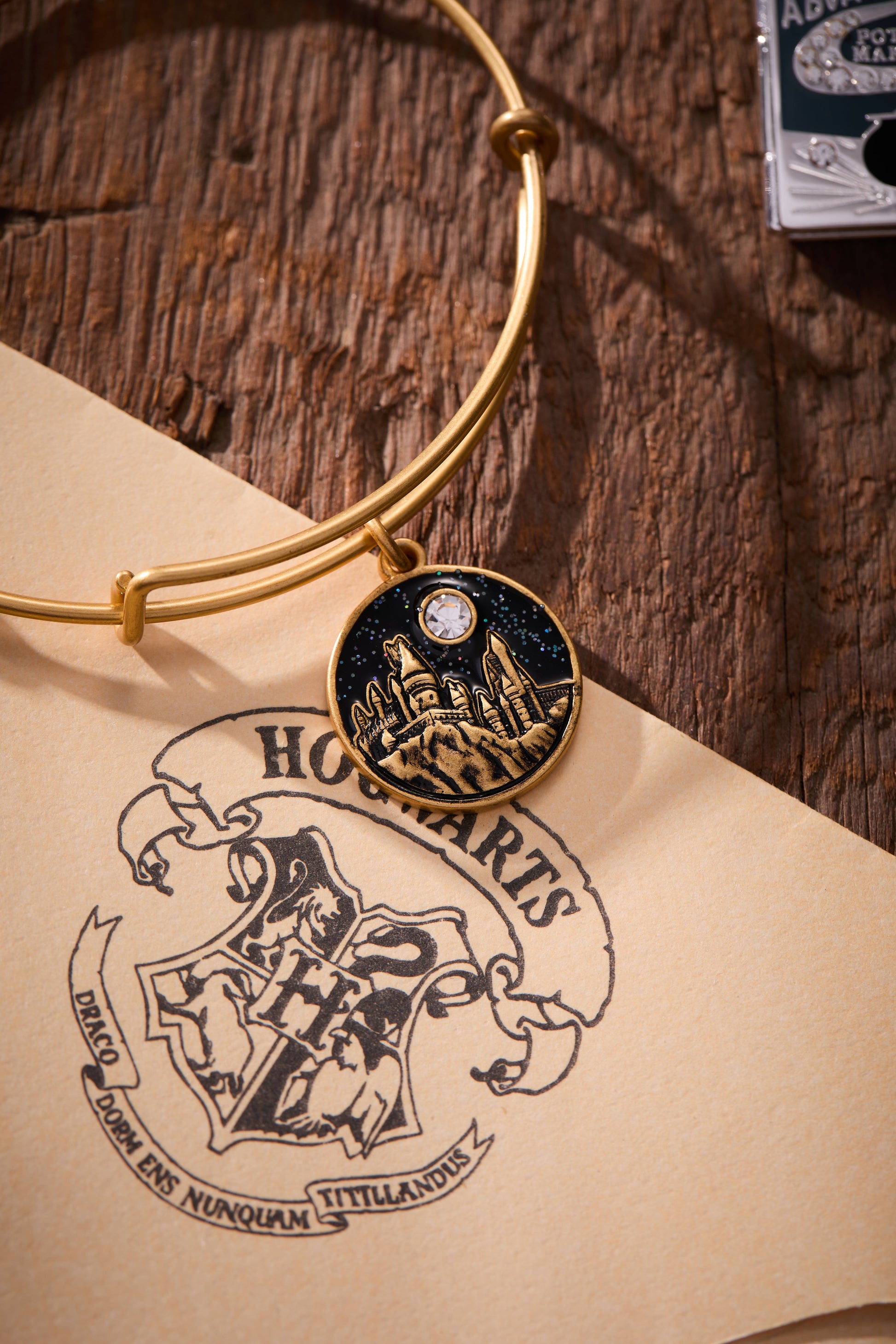 Harry Potter™ Hogwarts™ Castle Charm Bangle ALEX AND ANI
