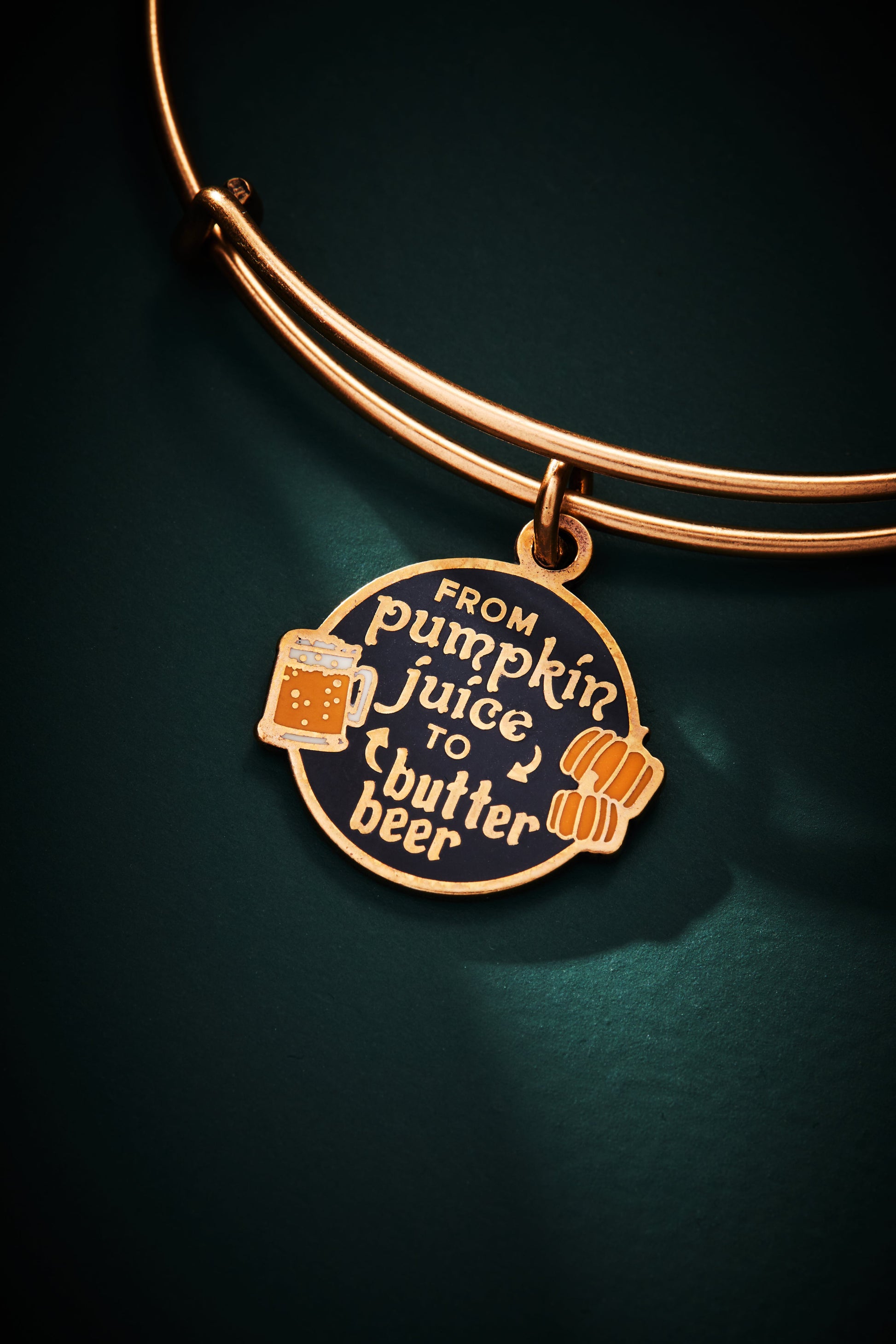 Harry Potter™ 'From Pumpkin Juice To Butter Beer' Charm Bangle ALEX AND ANI