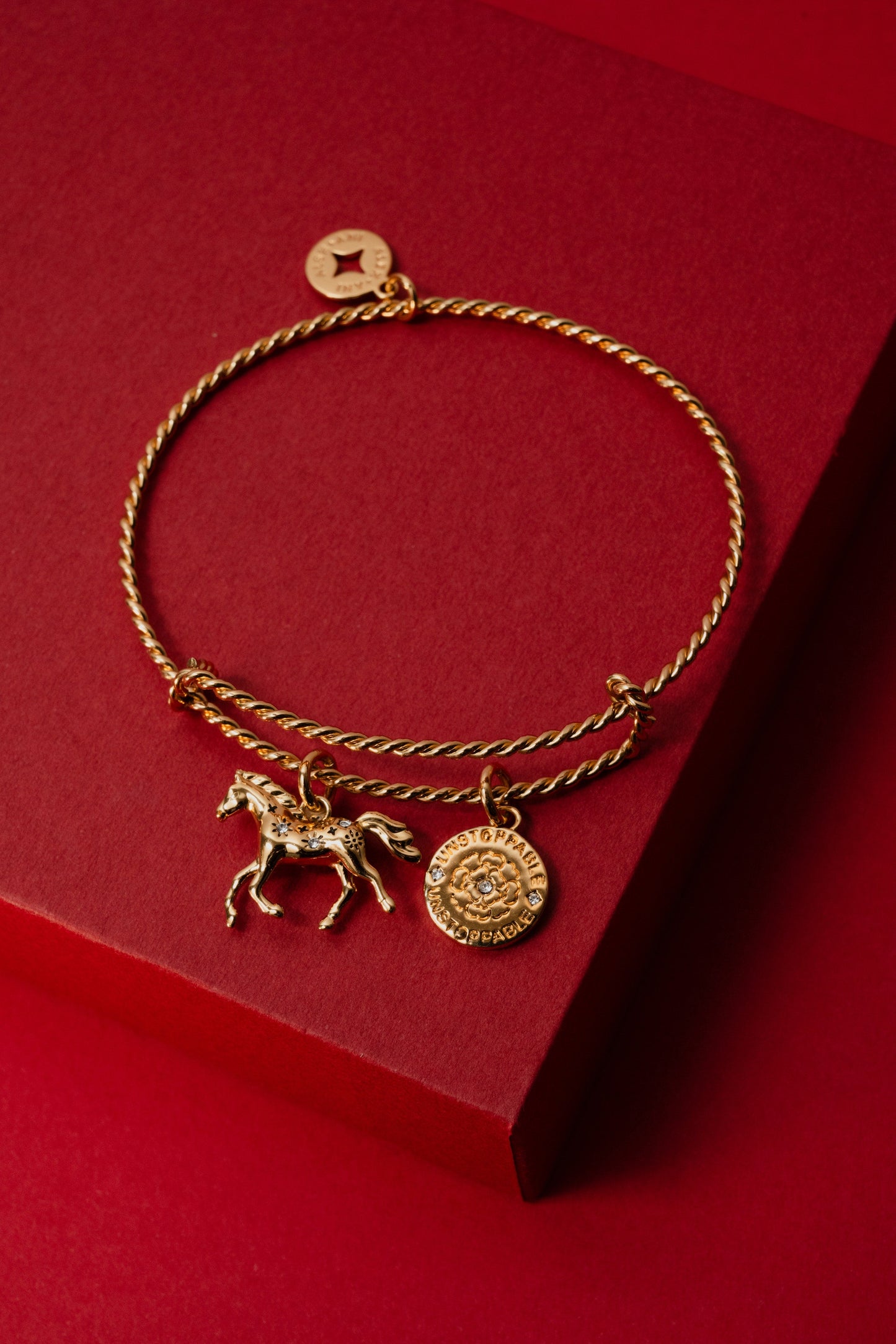 Horse Rope Textured Charm Bangle ALEX AND ANI