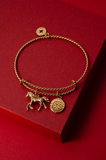 Horse Rope Textured Charm Bangle ALEX AND ANI