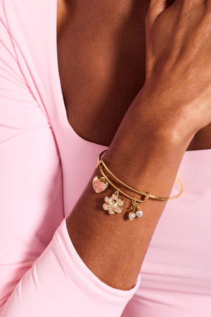 Sweethearts® 'Melt My Heart' Multi Charm Bangle ALEX AND ANI