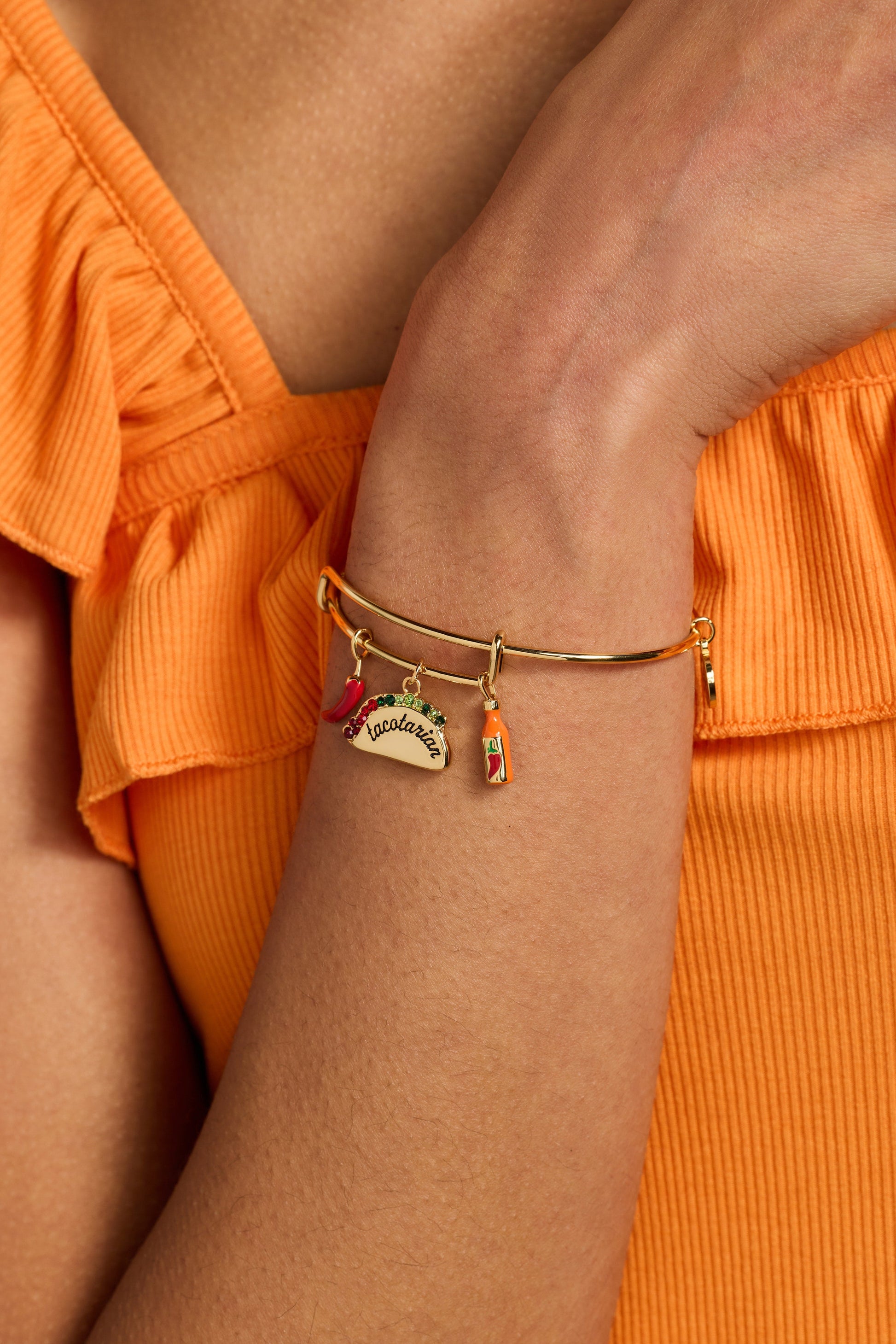 'Tacotarian' Multi Charm Bangle ALEX AND ANI