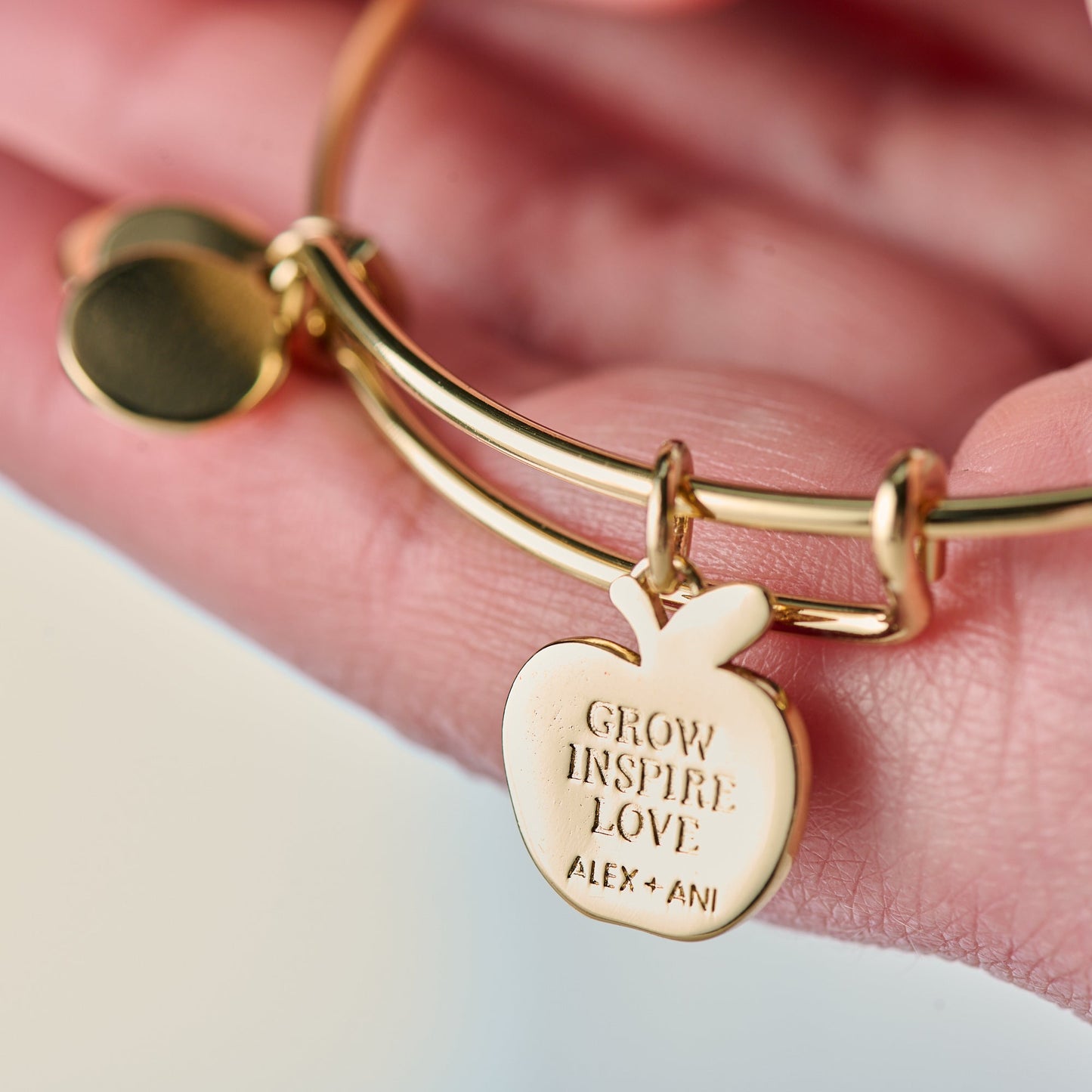 Teacher 'Grow, Inspire, Love' Apple Charm Bangle ALEX AND ANI