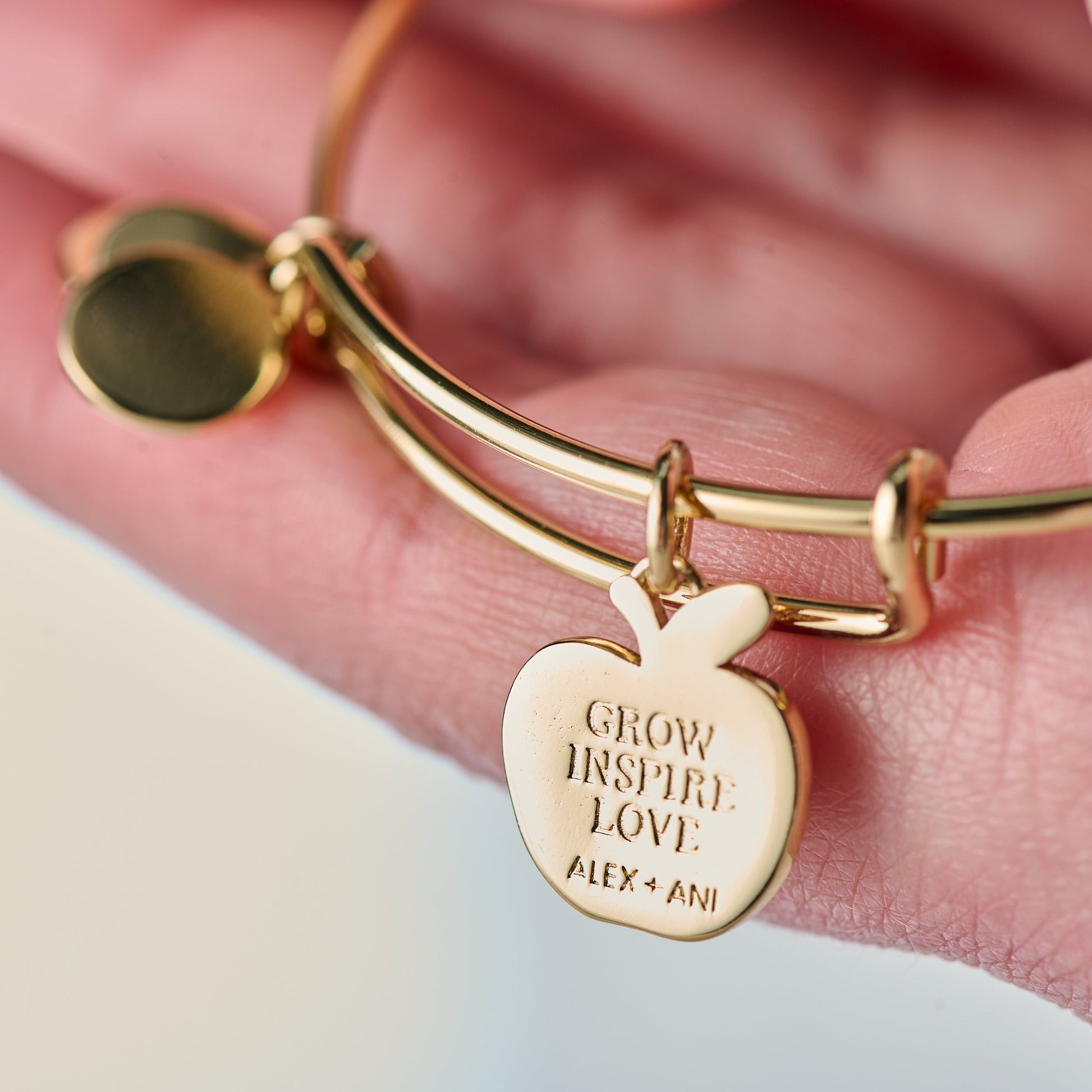 Teacher 'Grow, Inspire, Love' Apple Charm Bangle ALEX AND ANI
