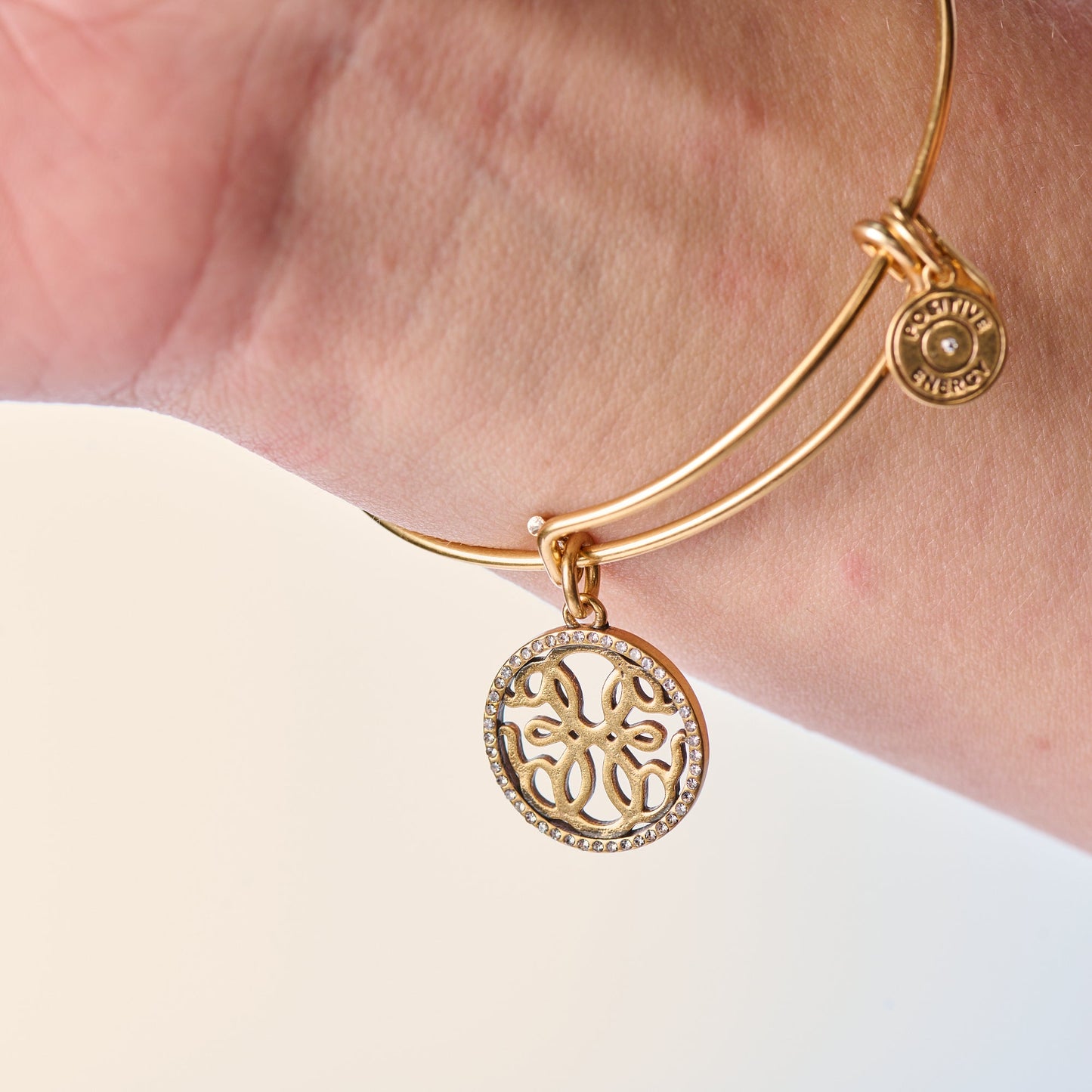 Path of Life Charm Bangle ALEX AND ANI