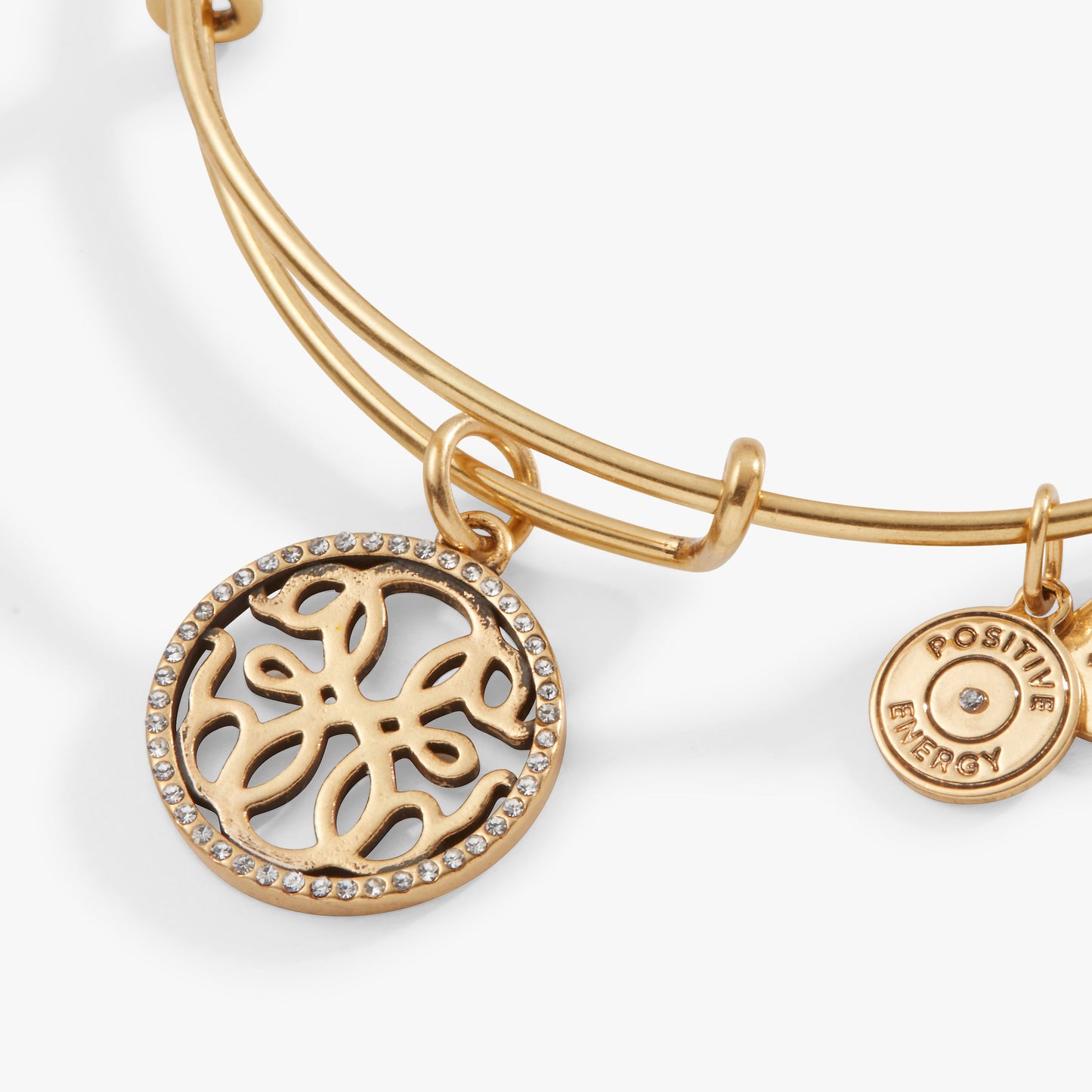 Path of Life Charm Bangle ALEX AND ANI