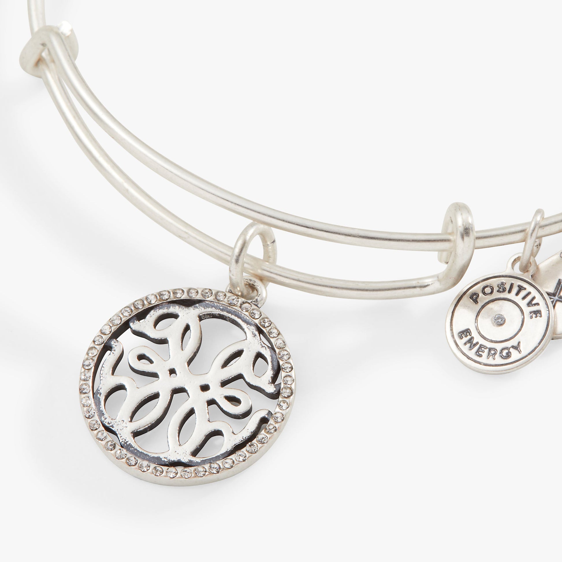 Path of Life Charm Bangle ALEX AND ANI