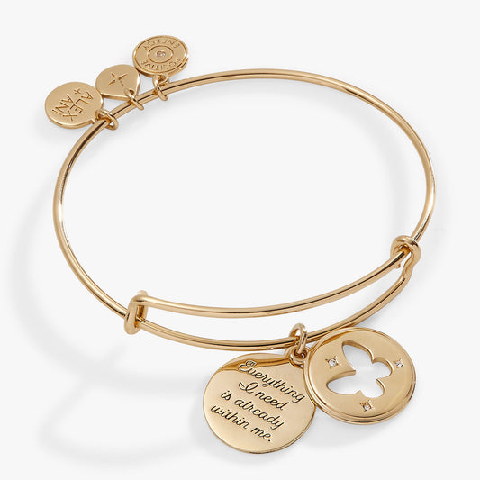 Hidden Message Butterfly Affirmation Bangle ALEX AND ANI