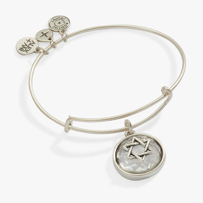 Star of David Crystal Charm Bangle ALEX AND ANI