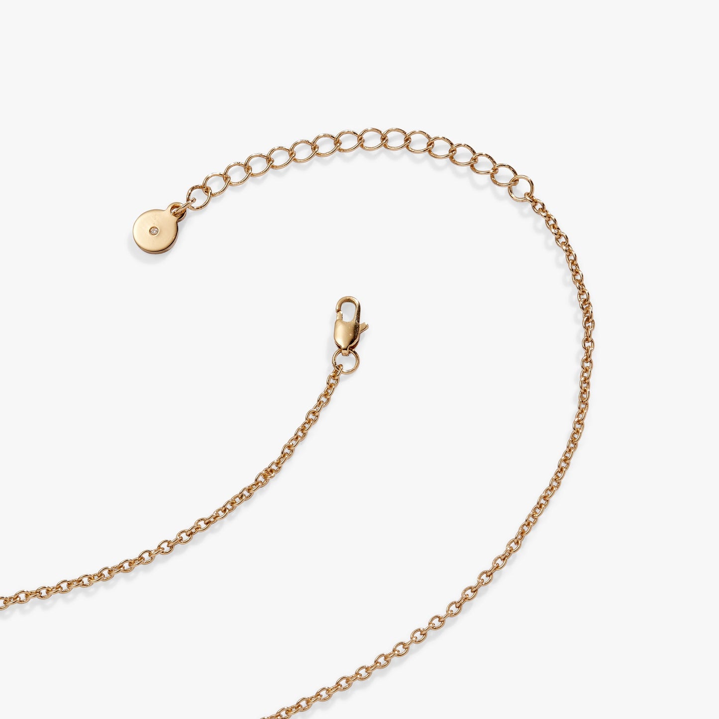 Lucky Four Leaf Clover Adjustable Necklace ALEX AND ANI