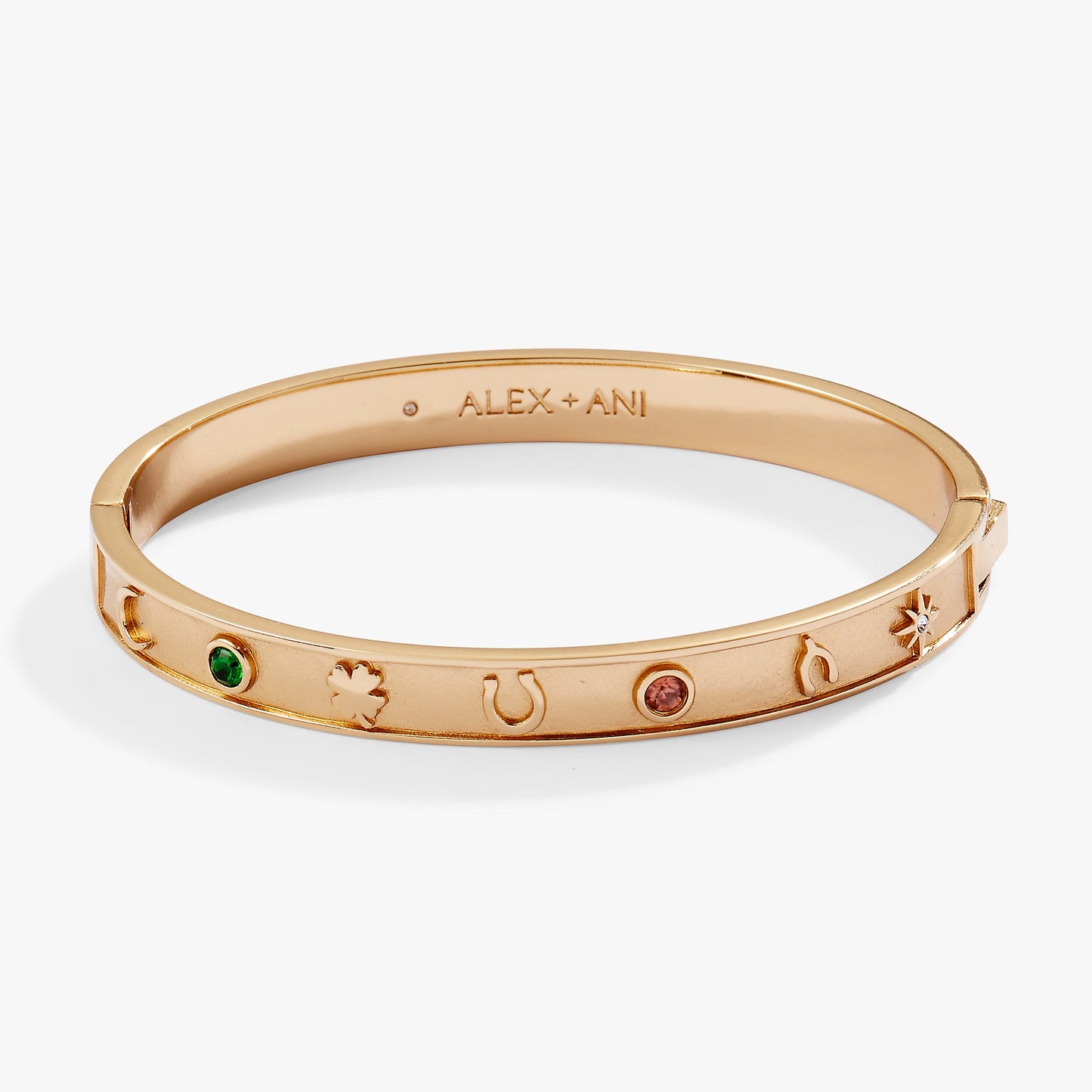 Lucky Hinge Bangle ALEX AND ANI