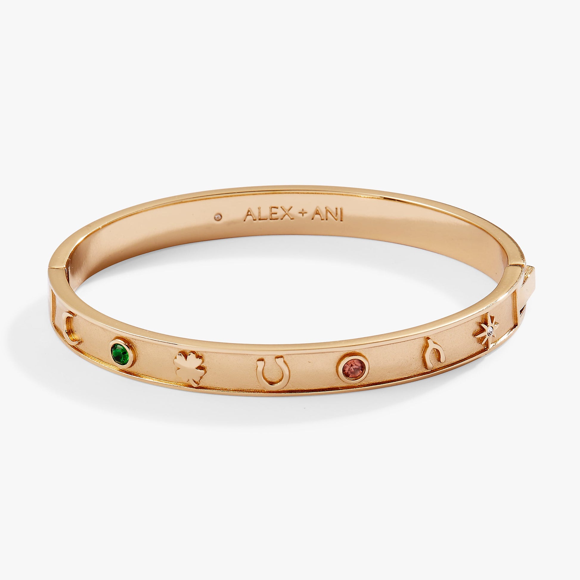 Lucky Hinge Bangle ALEX AND ANI