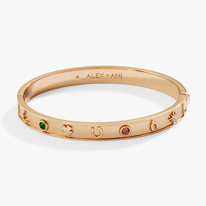 Lucky Hinge Bangle ALEX AND ANI