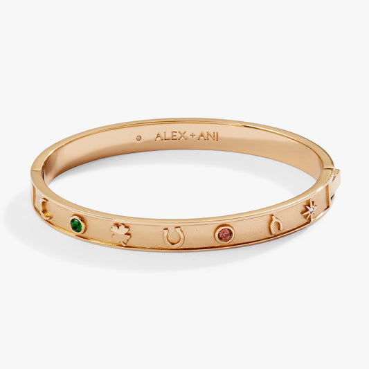 Lucky Hinge Bangle ALEX AND ANI
