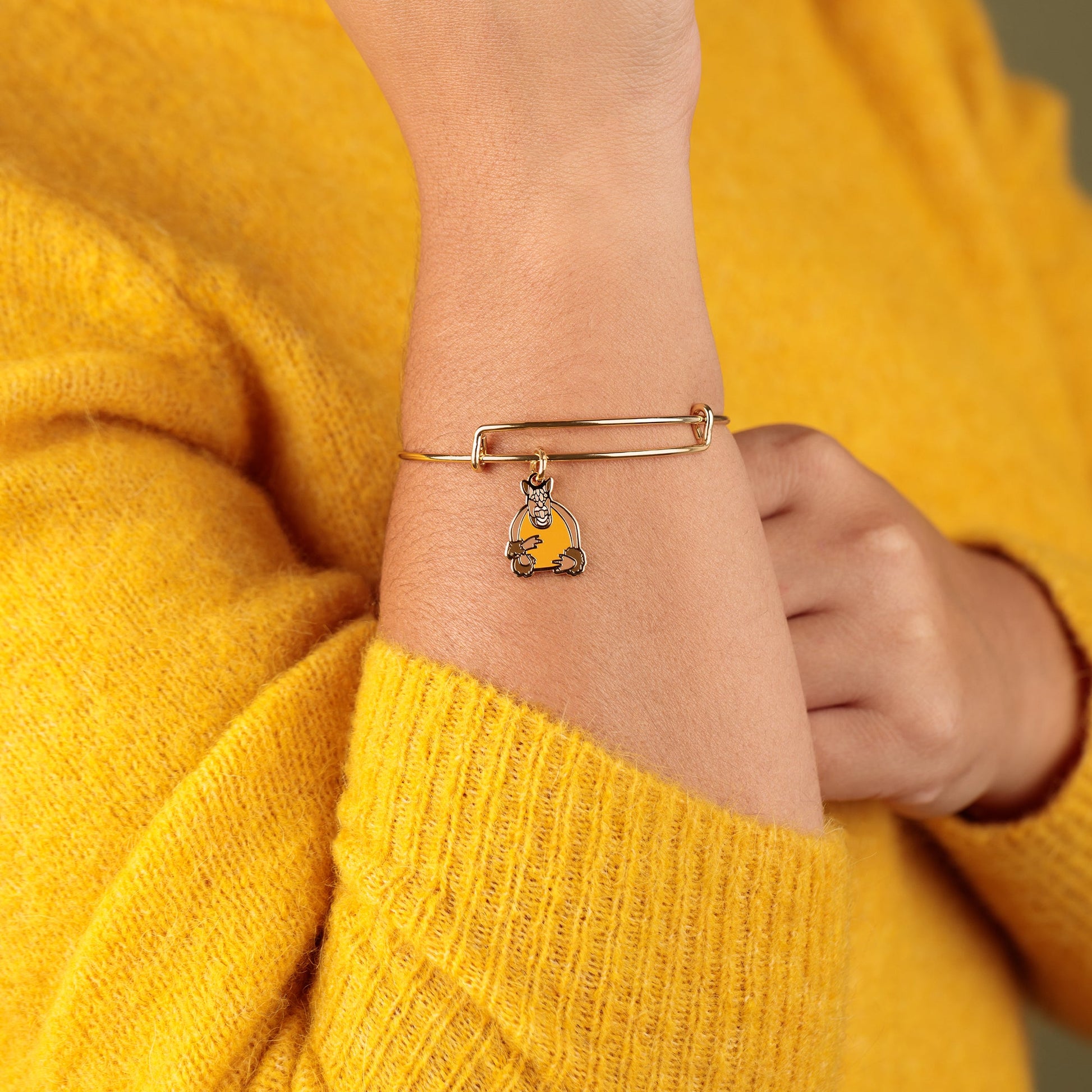 FRIENDS™ Holiday Armadillo Charm Bangle ALEX AND ANI