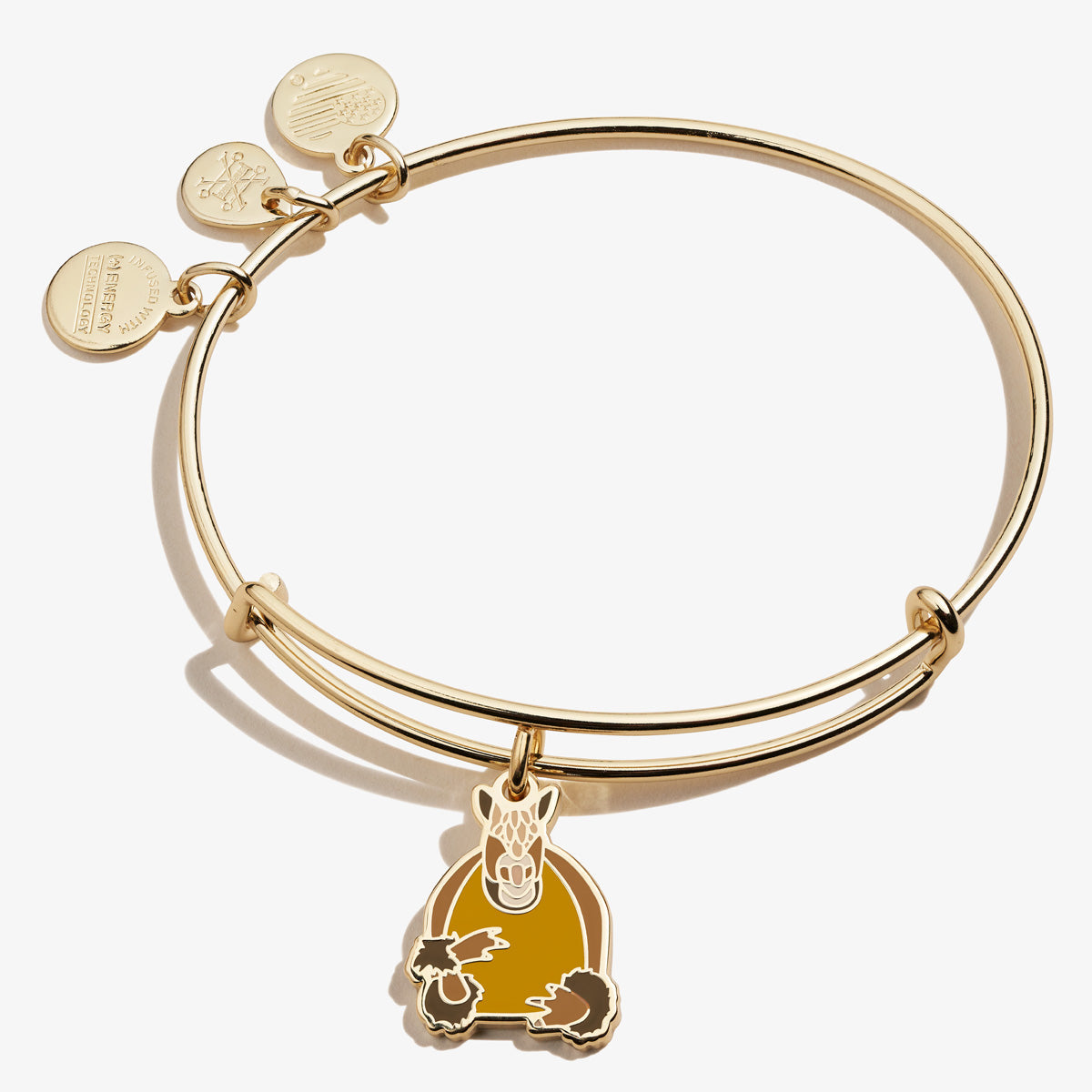 FRIENDS™ Holiday Armadillo Charm Bangle ALEX AND ANI