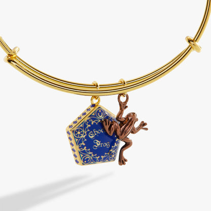 Harry Potter™ Chocolate Frog Two-Charm Bangle ALEX AND ANI