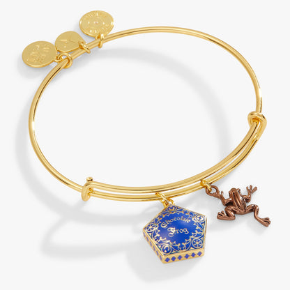 Harry Potter™ Chocolate Frog Two-Charm Bangle ALEX AND ANI