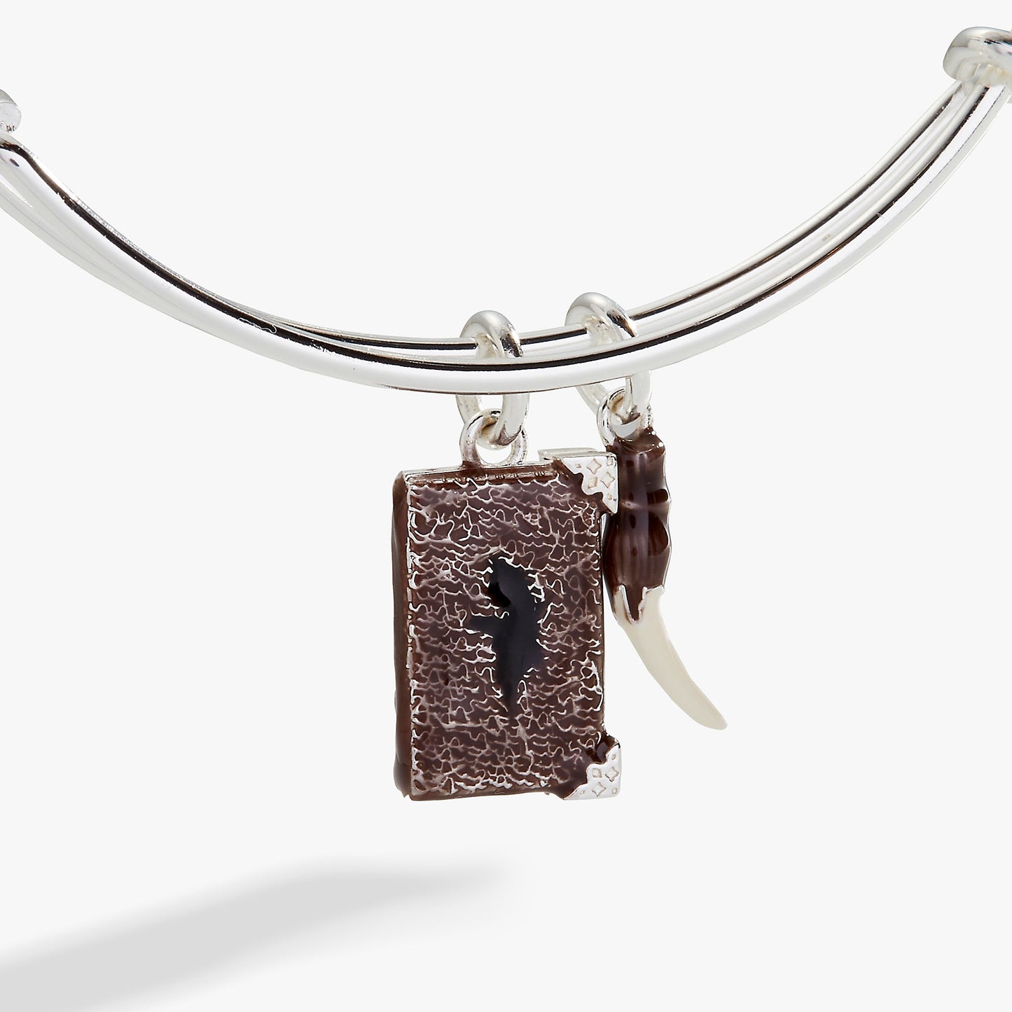Harry Potter™ Diary and Basilisk Fang Bangle ALEX AND ANI