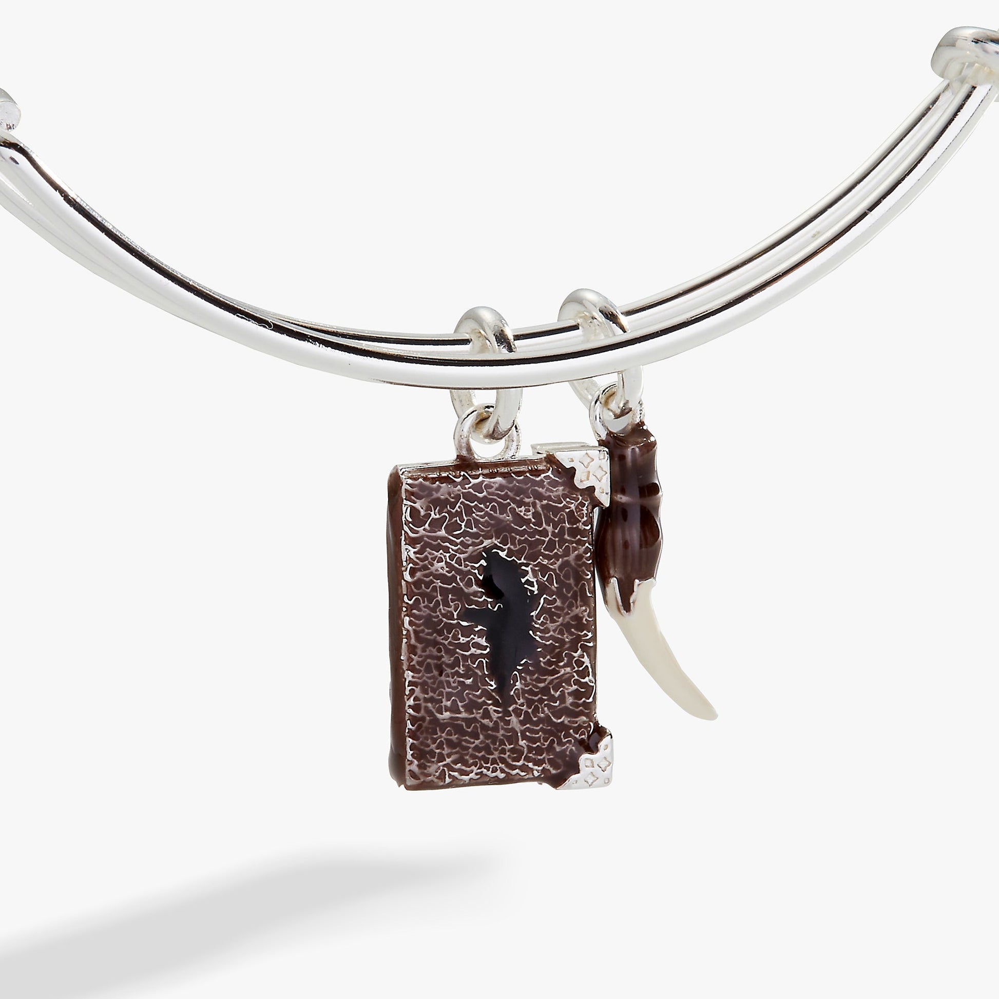 Harry Potter™ Diary and Basilisk Fang Bangle ALEX AND ANI
