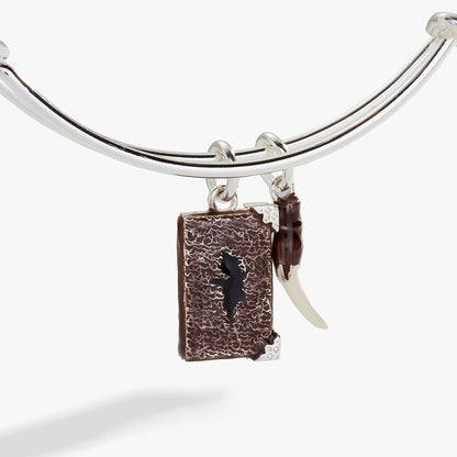 Harry Potter™ Diary and Basilisk Fang Bangle ALEX AND ANI