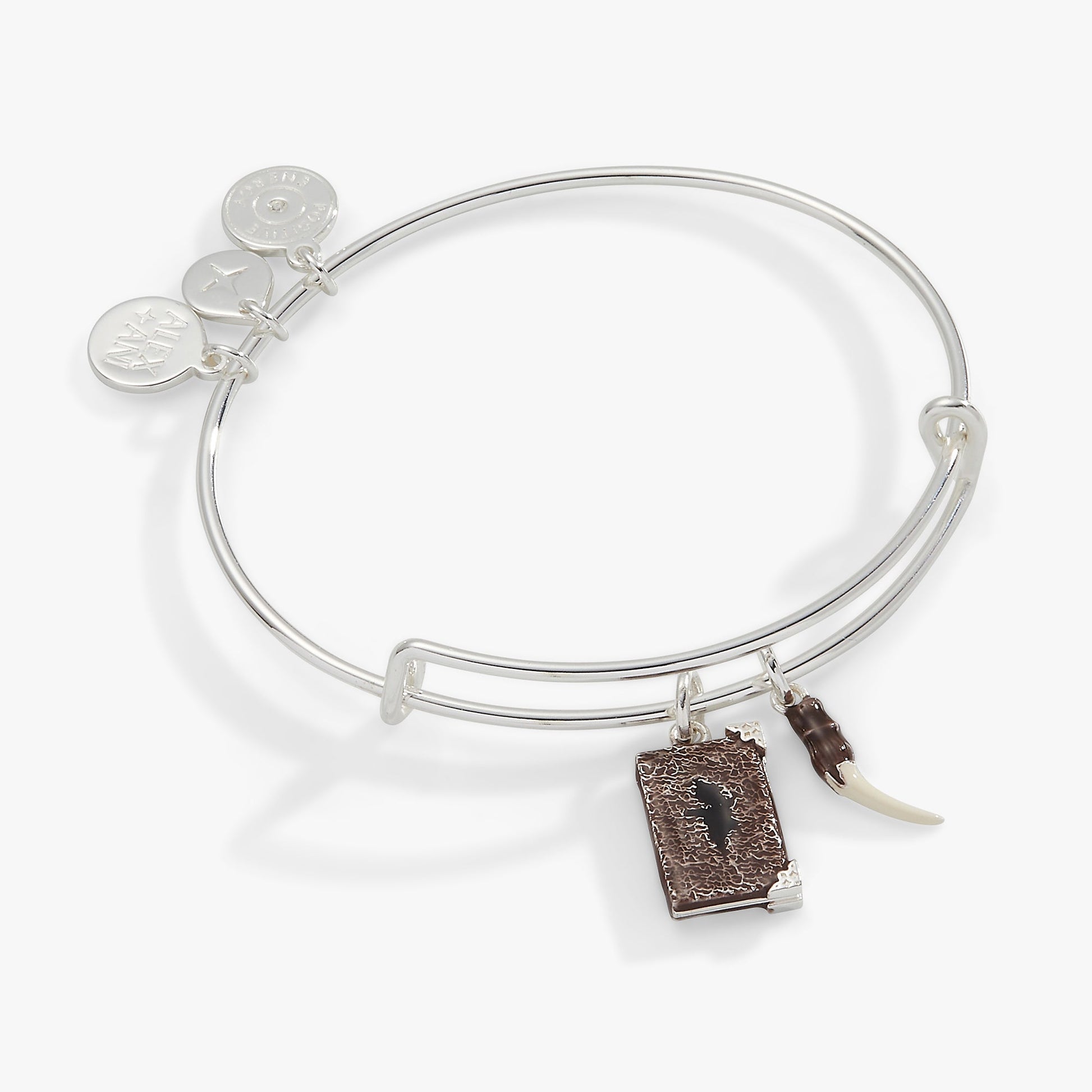 Harry Potter™ Diary and Basilisk Fang Bangle ALEX AND ANI