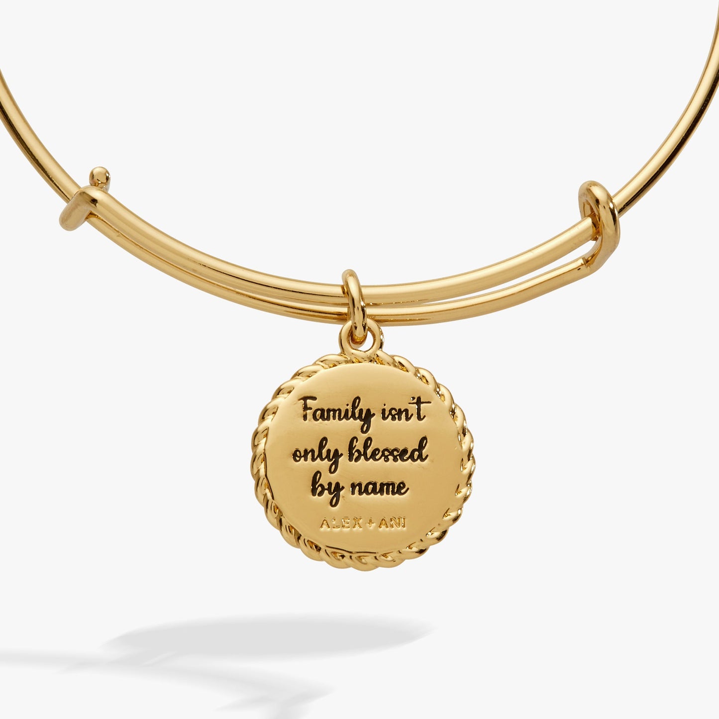 Bonus Mom 'Family Isn't Only Blessed By Name' Charm Bangle ALEX AND ANI