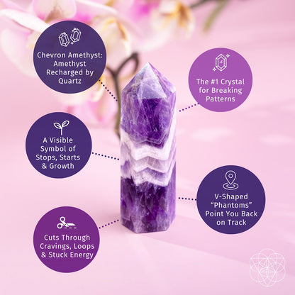 Cycle Breaker - Chevron Amethyst Point of Transformation Conscious Items