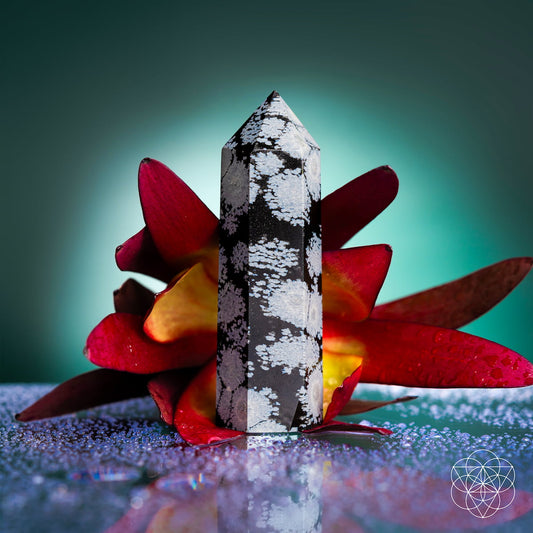 Spiritual Bodyguard - Snowflake Obsidian Point Conscious Items