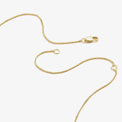 Slider Tag Heart Charm Necklace, 21'' ALEX AND ANI