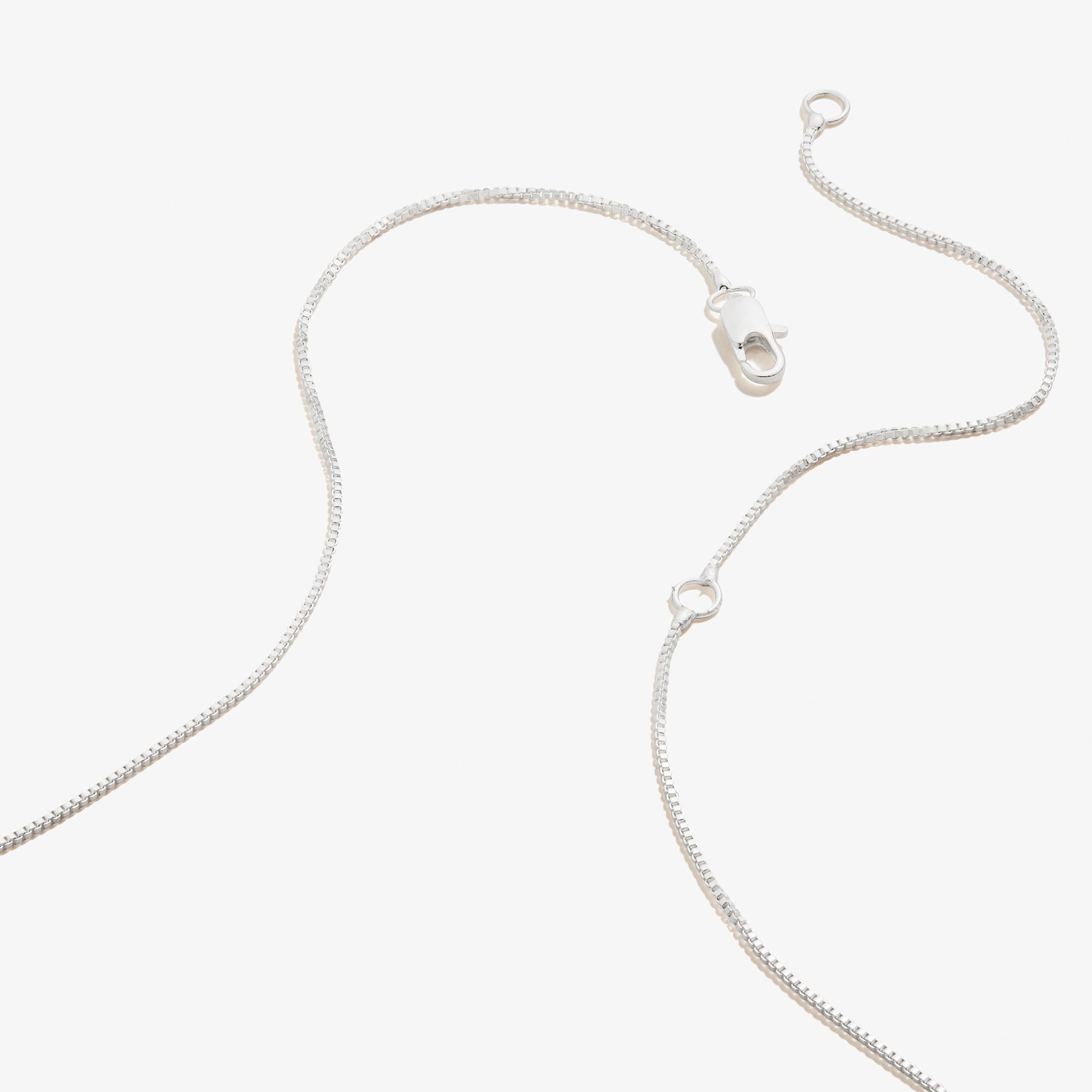 Slider Tag Heart Charm Necklace, 21'' ALEX AND ANI
