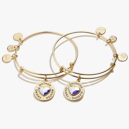 Mother Daughter Charm Bangles, Set of 2 ALEX AND ANI