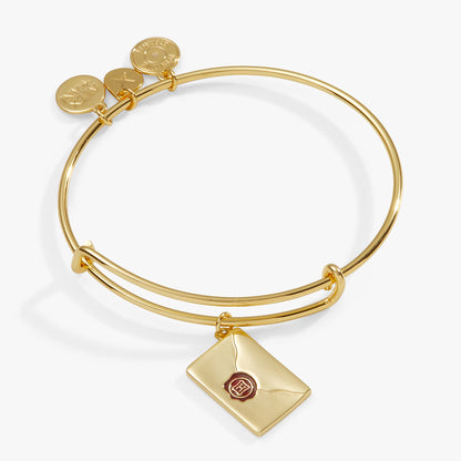 Harry Potter™ Acceptance Letter Charm Bangle ALEX AND ANI