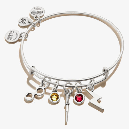 Harry Potter™ Character Multi-Charm Bangle ALEX AND ANI