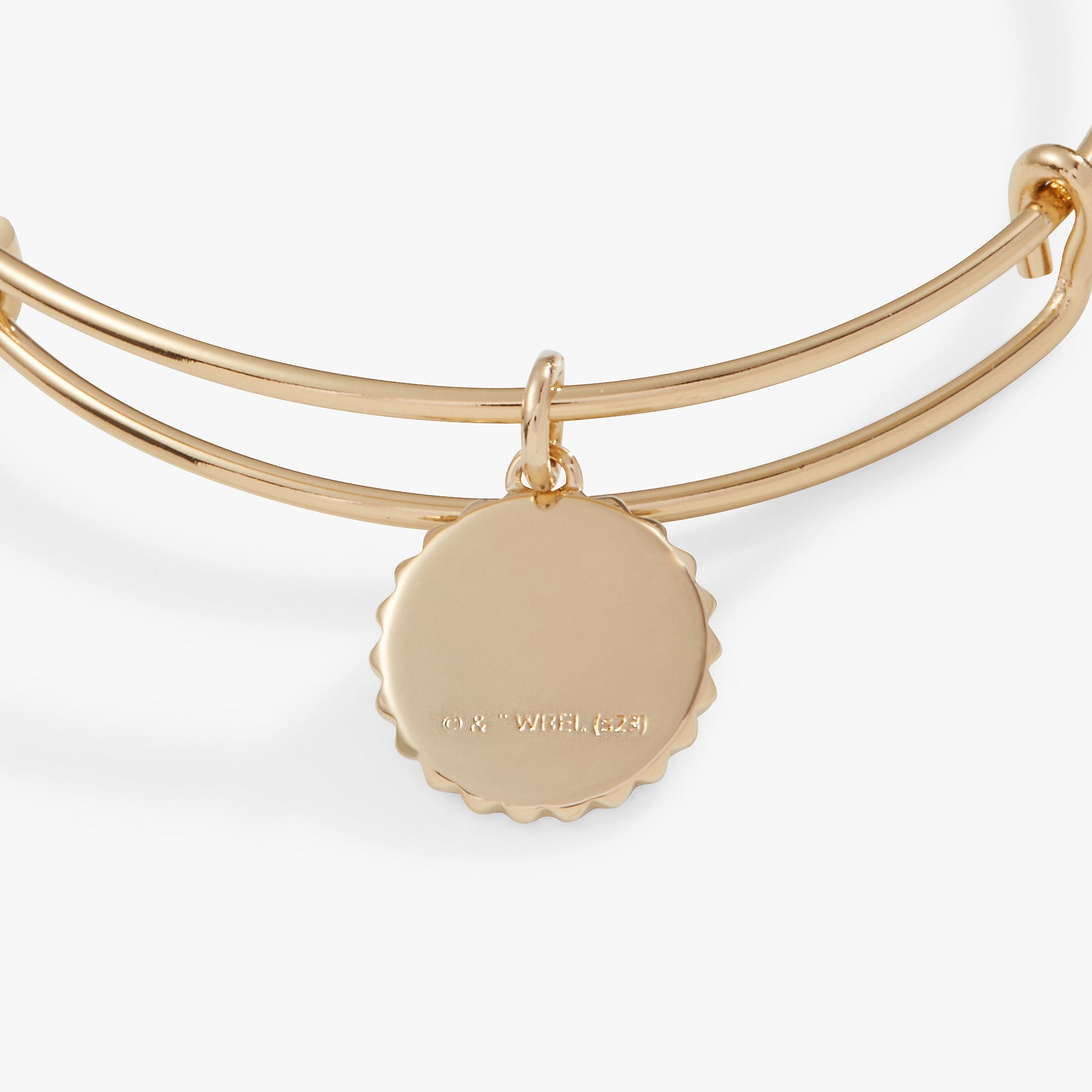 Harry Potter™ Gryffindor House Charm Bangle ALEX AND ANI