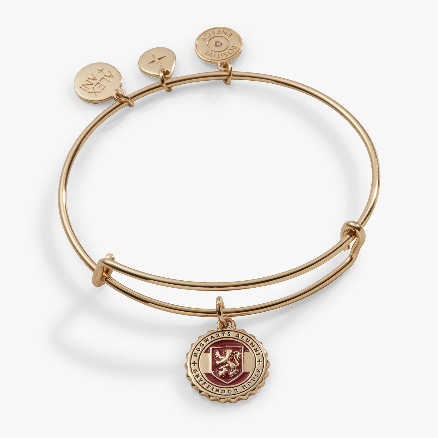 Harry Potter™ Gryffindor House Charm Bangle ALEX AND ANI