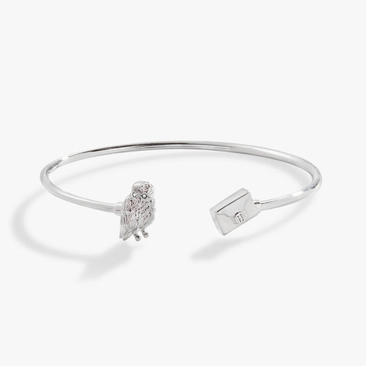 Harry Potter™ Hedwig + Letter Flex Cuff ALEX AND ANI
