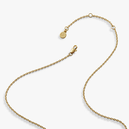 Harry Potter™ Mischief Managed Locket Necklace ALEX AND ANI