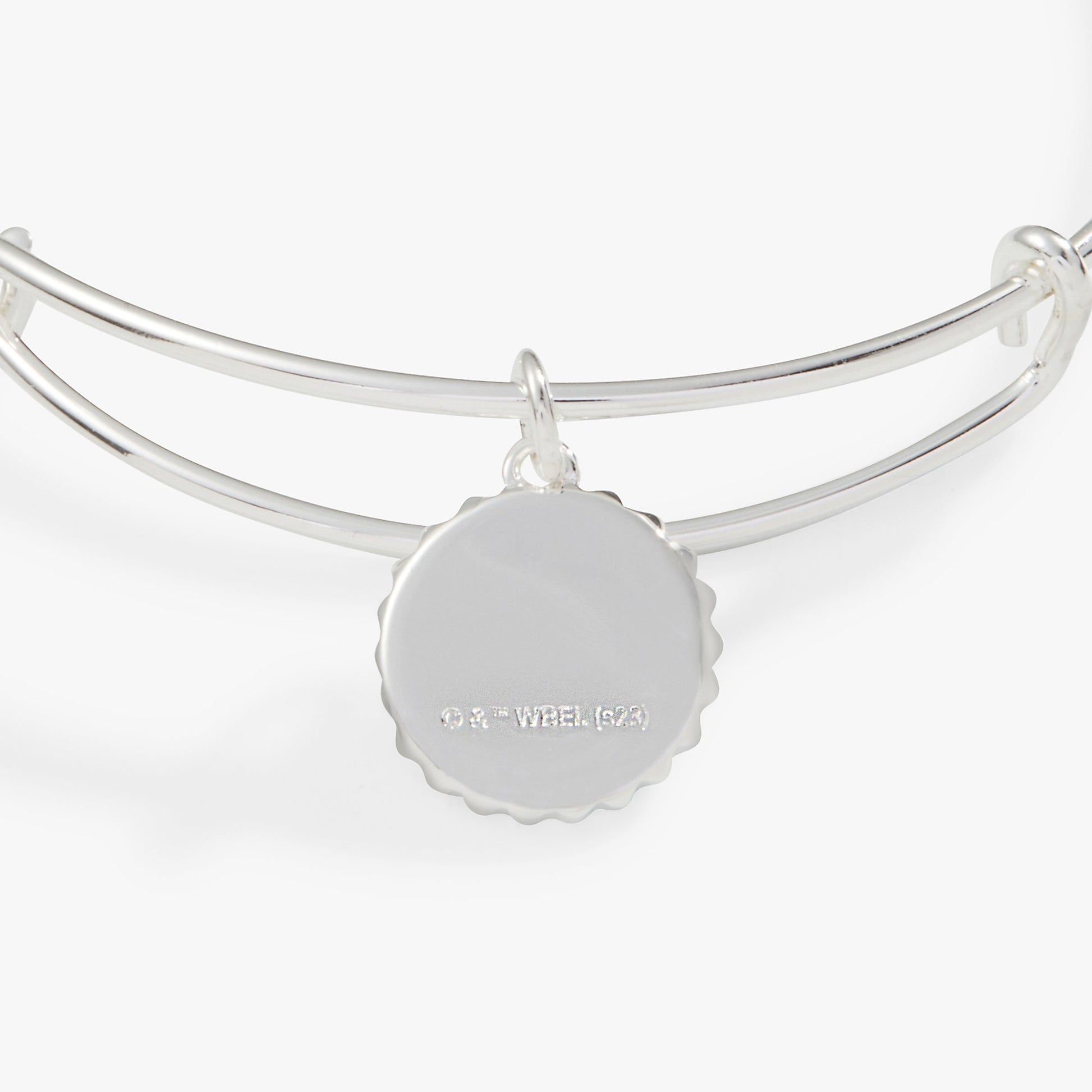 Harry Potter™ Ravenclaw House Charm Bangle ALEX AND ANI