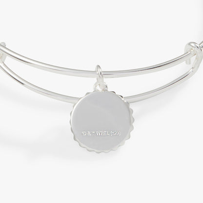 Harry Potter™ Ravenclaw House Charm Bangle ALEX AND ANI