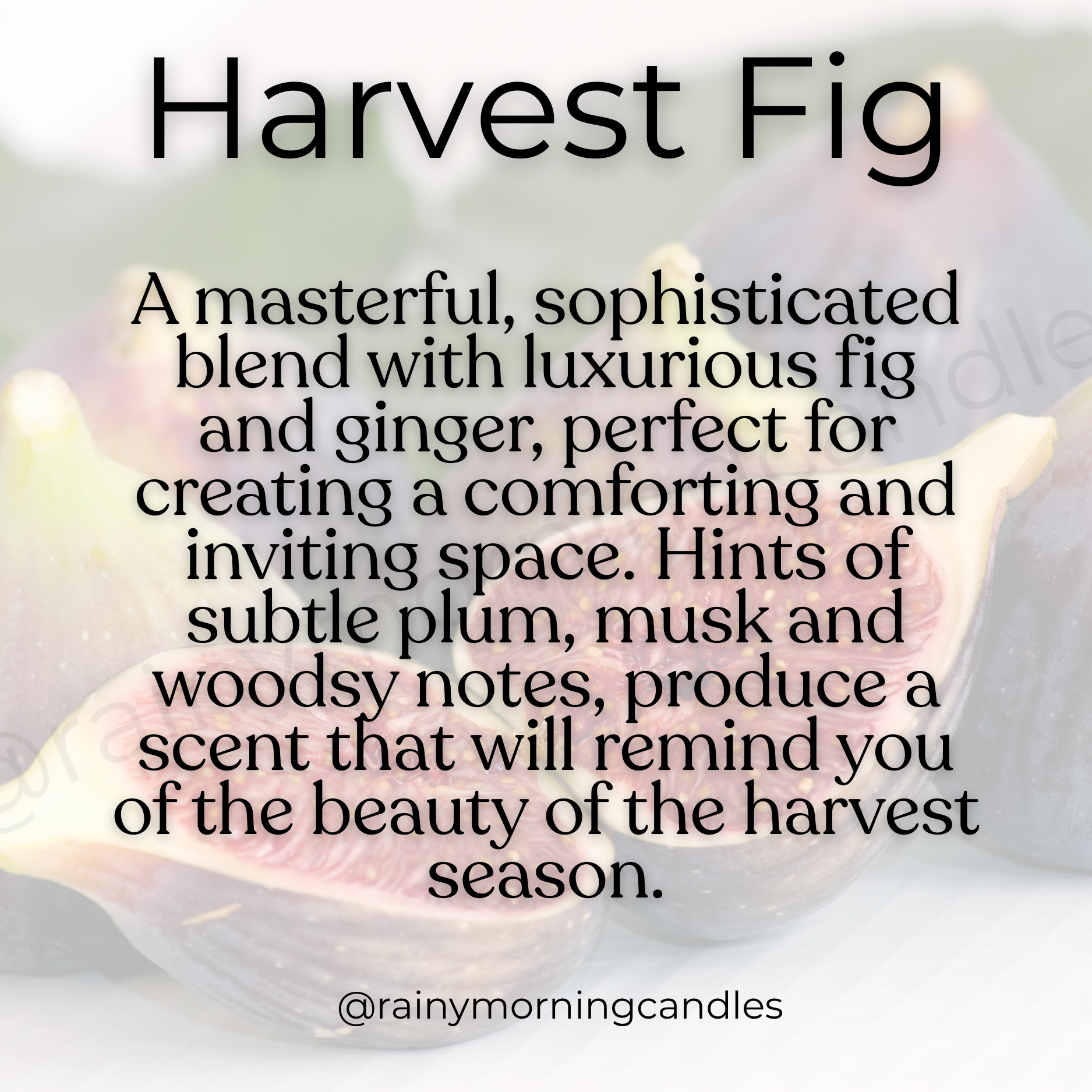 Harvest Fig | Fall Wax Melts Rainy Morning Candles