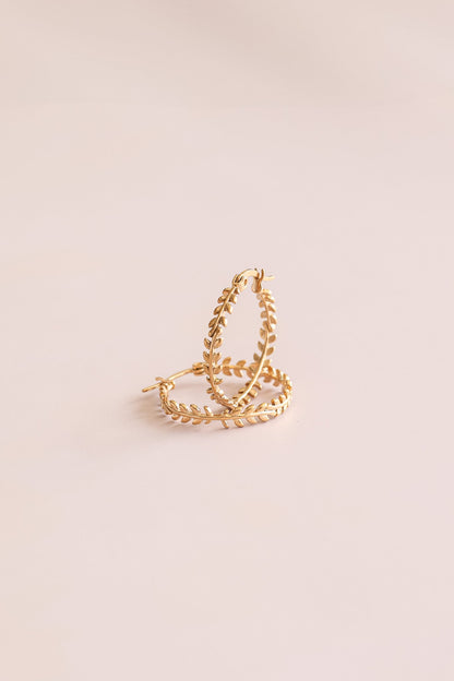 Ivy Hoop
