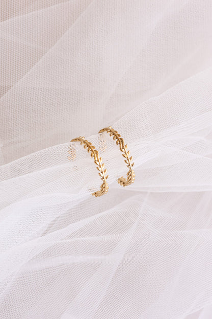 Ivy Hoop