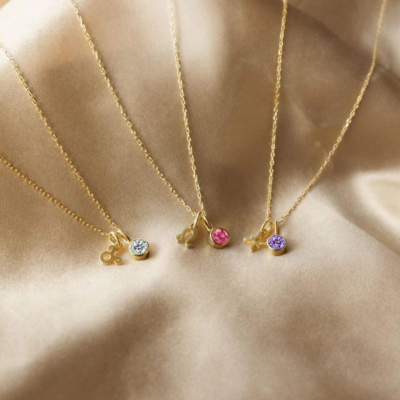 Birthstone Constellation Pendant Necklace For Women Titanium Steel Hausofjb