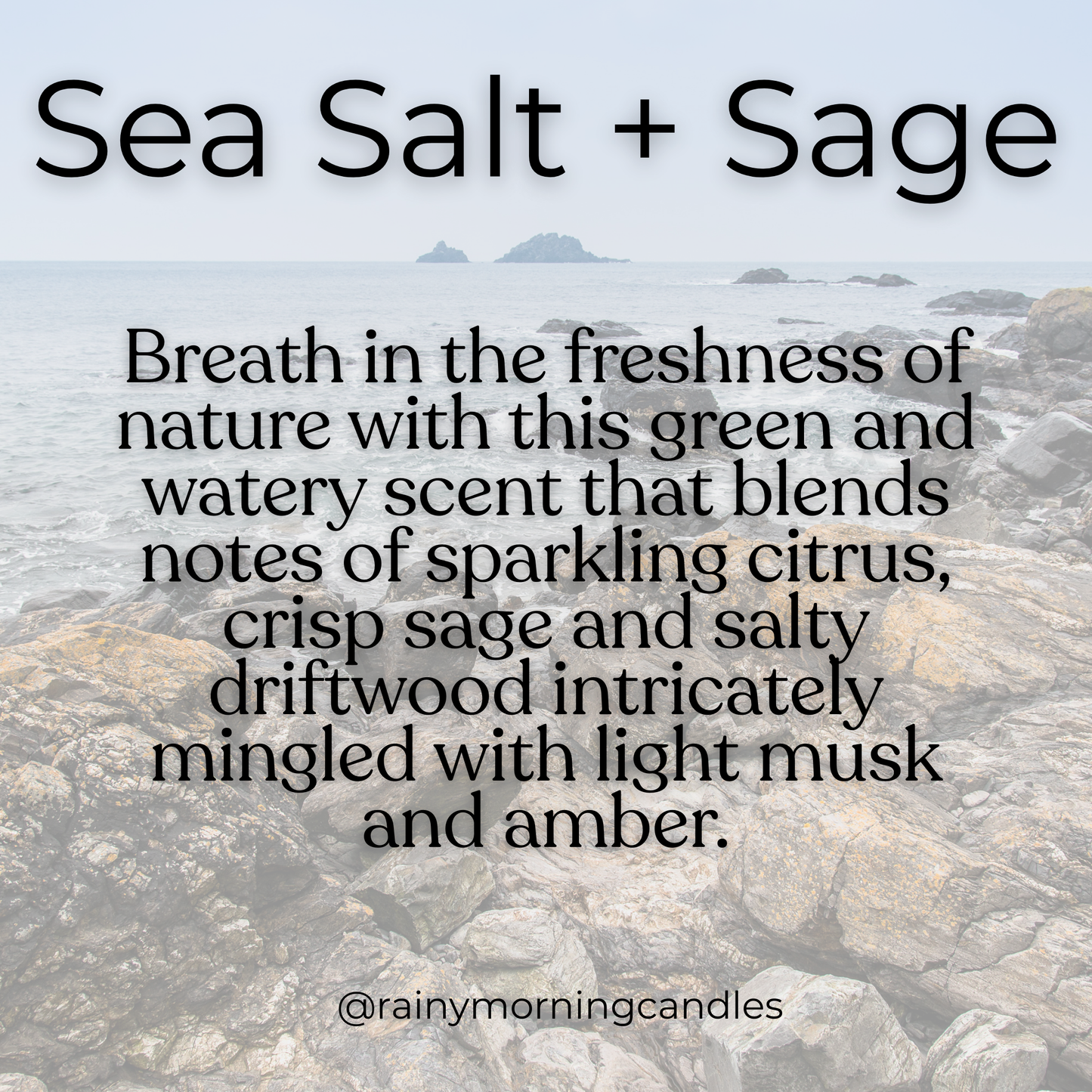 Sea Salt & Sage | Wax Melts Rainy Morning Candles