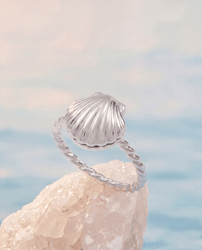 Salt + Sea 'Seashells Are Love Letters In The Sand' Locket Ring ALEX AND ANI