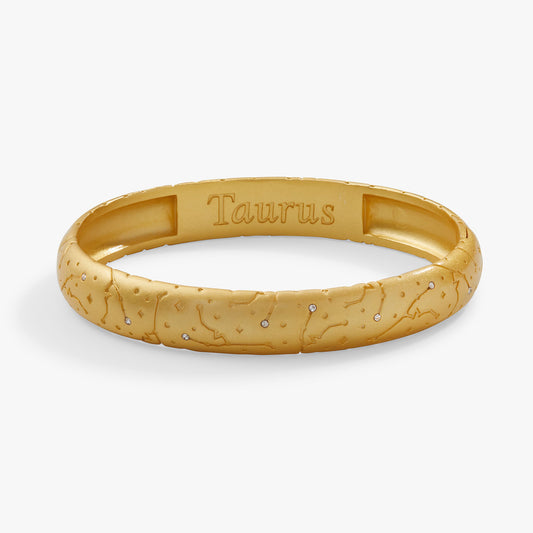 Taurus Zodiac Hinge Bangle ALEX AND ANI